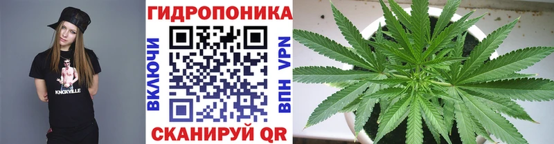 Шишки марихуана марихуана  ссылка на мегу ссылка  Сысерть 